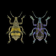 Illustration for article titled 5 Creatures That Have Evolved Into Badass Biological Machines